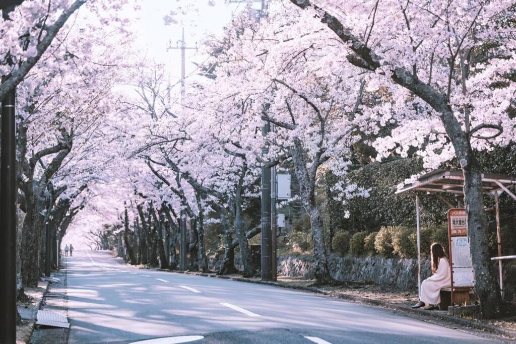 Villa シャローム伊豆高原 Futo Esterno foto